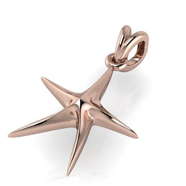 14K Solid Gold Starfish Pendant / Gold Starfish Pendant for Her / Gift for Her (Copy)