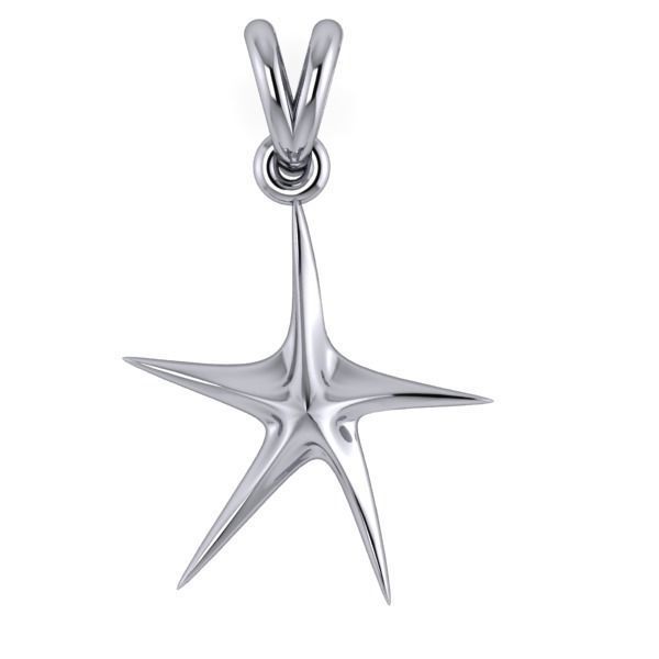 14K Solid Gold Starfish Pendant / Gold Starfish Pendant for Her / Gift for Her (Copy)