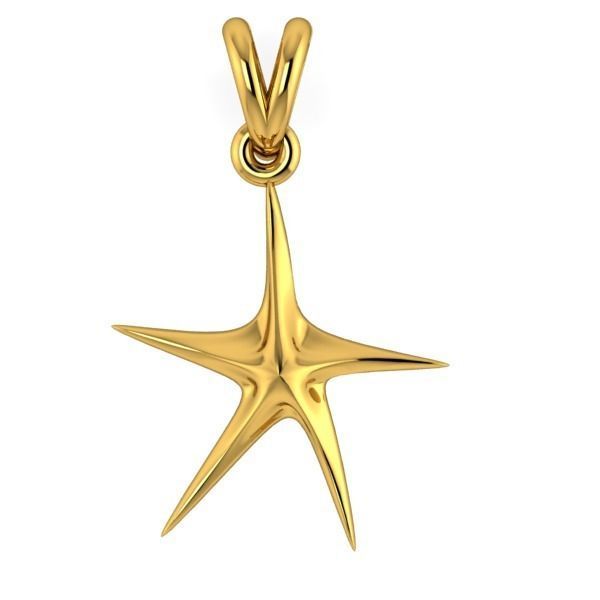 14K Solid Gold Starfish Pendant / Gold Starfish Pendant for Her / Gift for Her (Copy)